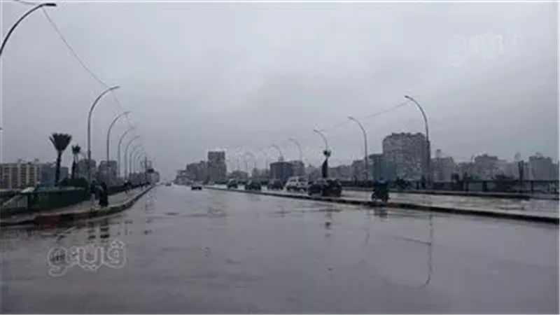 حالة الطقس غدا، فيتو