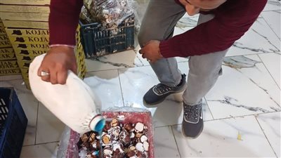  ضبط طن ونصف الطن بسكويت وشيكولاته داخل مصنعين بمزرعة دواجن بالقليوبية