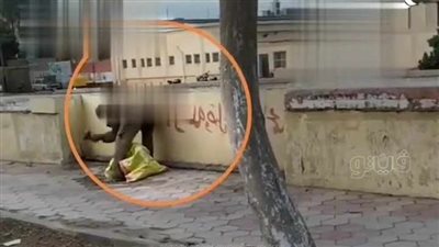 في عز الضهر، لص يسرق حديد كورنيش فاقوس بالشرقية، ونشطاء: مريض نفسي (فيديو)