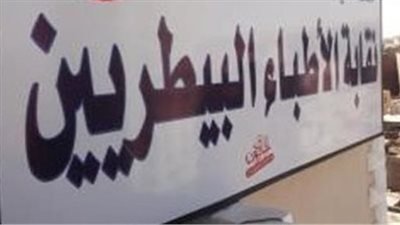 سوزان سند نقيبا للبيطريين بالقاهرة وعلاء عبد العال بالجيزة