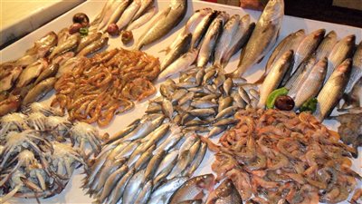 انخفاض ملحوظ في أسعار السمك اليوم بسوق العبور، أبرزهم البلطي والجمبري والسبيط