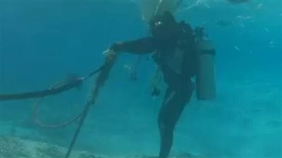 البيئة: الانتهاء من المرحلة الأولى لتركيب الشمندورات في شرم الشيخ