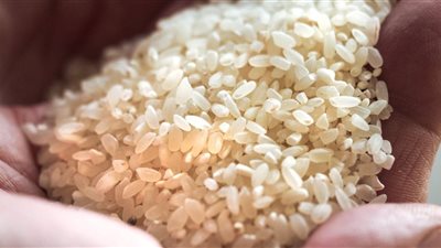 بكام كيلو الأرز في الأسواق اليوم الإثنين 10/2/2025