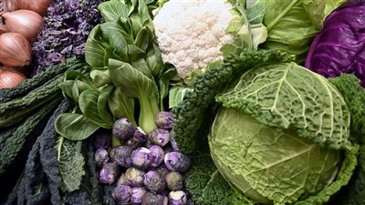 سعر الخضار اليوم، الليمون يقفز لـ 45 جنيهًا وانخفاض جديد للطماطم والبطاطس