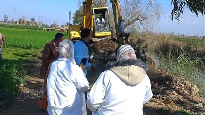 رفع حيوانات نافقة من ترعة ميت ميمون بالغربية (صور)