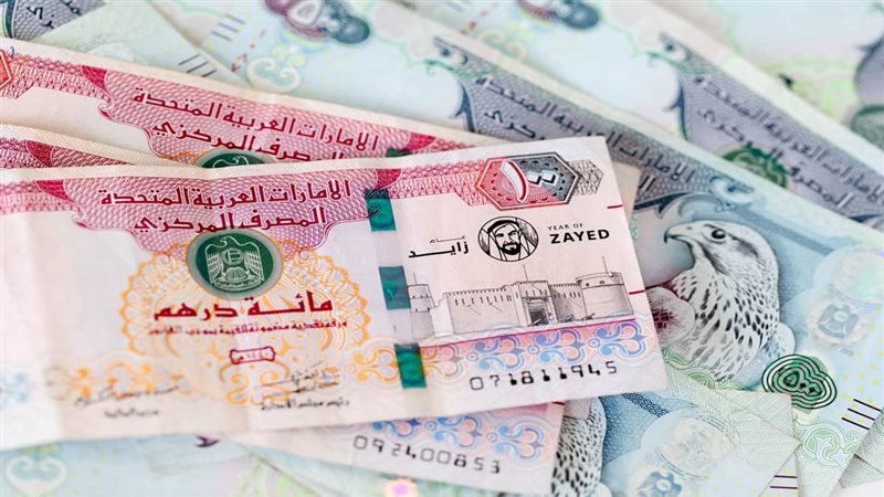الدرهم الاماراتي