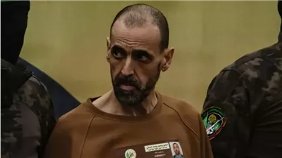 ألمانيا تشكر مصر لجهودها في الإفراج عن محتجز لها بقطاع غزة