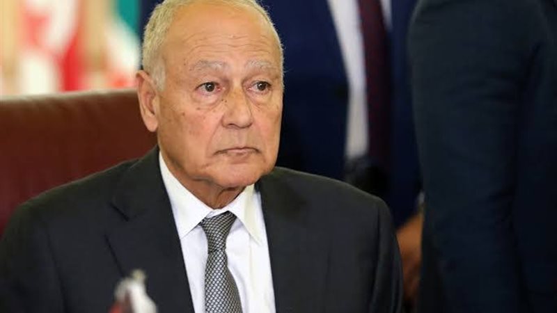 أحمد أبو الغيط، فيتو