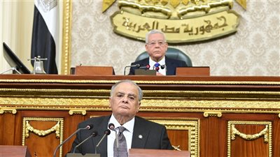 مجلس النواب يوافق على ضوابط المصروفات في الجرائم 