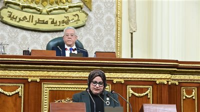 النواب يقر مشروعي قانونين للبحث عن البترول في بورسعيد والصحراء الغربية