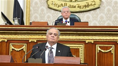 النواب يحسم ضوابط الأمر الجنائي والإعلان باستخدام المحمول والبريد الإلكتروني