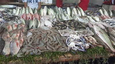  أسعار السمك اليوم،السبيط يرتفع لـ 340 جنيها في الأسواق