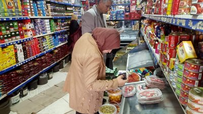 ضبط سلع فاسدة ومخالفات بالمخابز والأسواق في حملات تموينية بكفر الشيخ 