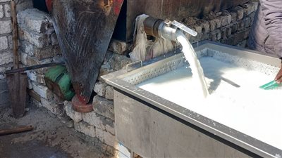 ضبط 4 أطنان ألبان غير صالحة داخل مركز تجميع بدون ترخيص بأسيوط