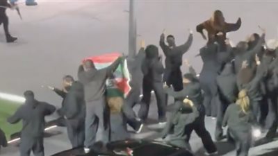 مشجع يقتحم ملعب Super Bowl بعلم فلسطين والسودان (فيديو)
