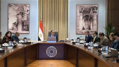 مدبولي يُتابع مع وزيري الكهرباء والبترول جهود توفير احتياجات الطاقة خلال الصيف