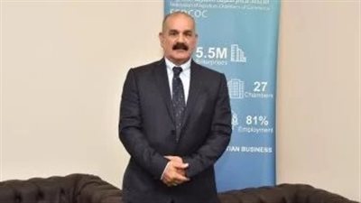  المكاوى يطالب بمنح مهلة للشركات الصغيرة لتطبيق الحد الأدنى للأجور