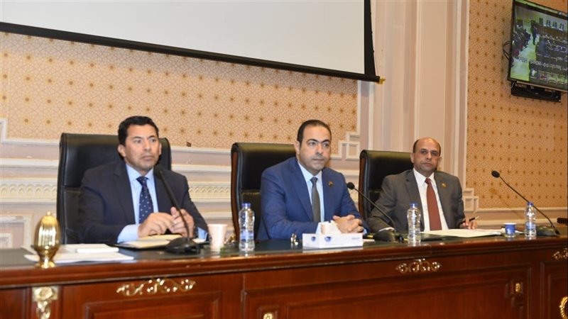 وزير الشباب بمجلس