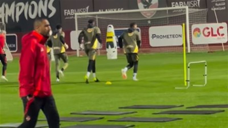 محمد شوقي 