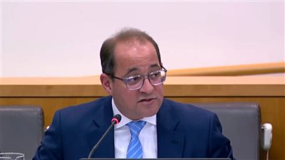 وزير المالية: نستهدف مبادرات جديدة لمبادلة الديون باستثمارات فى مجالات التنمية 