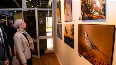 وزيرة البيئة تتفقد المعرض الرابع لمصوري الطيور البرية في مصر