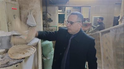 تحرير 204 مخالفات في حملات تموينية على أسواق الدقهلية (صور)