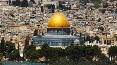 مستشار باليونسيف يكشف سر استخدام الخارجية المصرية لـ 