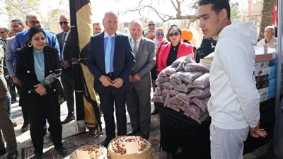 محافظ القاهرة يفتتح معرض 