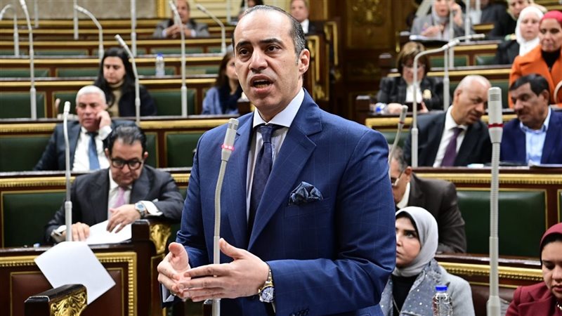 المستشار محمود فوزي