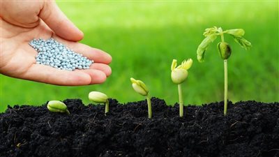 انخفاض طفيف في أسعار الأسمدة بالأسواق