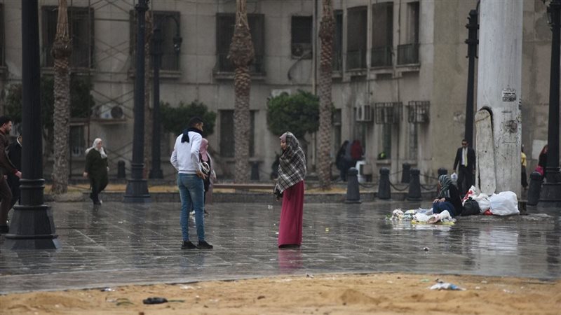 حالة الطقس، فيتو