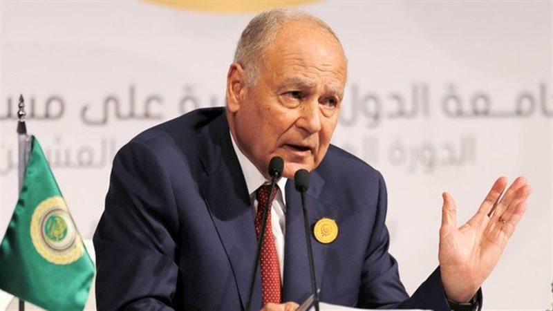 أحمد أبو الغيط، الأمين