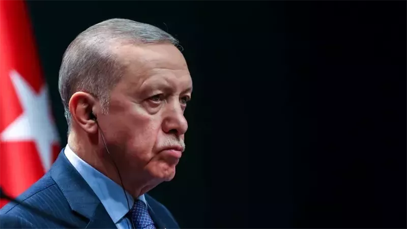 أردوغان، فيتو
