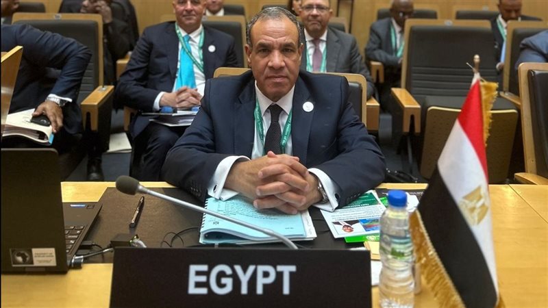 الدكتور بدر عبد العاطى