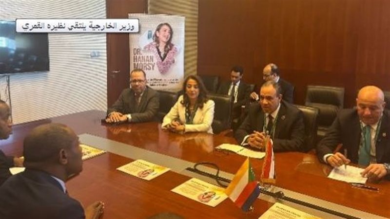 لقاء وزير الخارجية