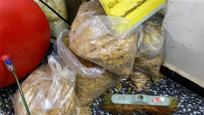 ضبط مصنع غير مرخص لإنتاج مقرمشات بمواد غير صالحة للاستهلاك الآدمي بالقليوبية 