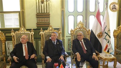 إطلاق الموقع الإلكتروني الرسمي لمجلس الدولة في احتفالية يوم الوفاء (صور)