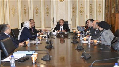 توصية برلمانية لزيادة فرص عمل الشركات المصرية في إفريقيا