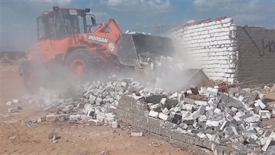 إزالة 18 حالة تعدٍّ على أملاك الدولة بالإسماعيلية (صور)