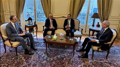 وزير الخارجية يبحث مع نظيره البحريني ترتيبات القمة العربية الطارئة بالقاهرة 