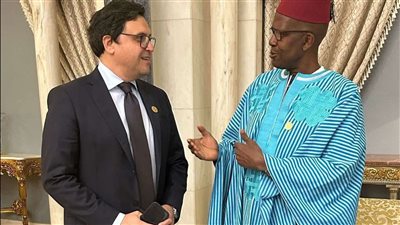 وزير الثقافة يبحث مع نظيره المالي آليات التعاون في المجالات المشتركة