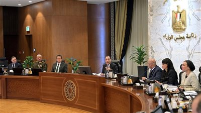 رئيس الوزراء: استمرار جهود الدولة المصرية لتنفيذ بنود اتفاق وقف إطلاق النار في غزة