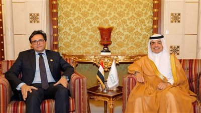  وزير الثقافة يلتقي مدير 