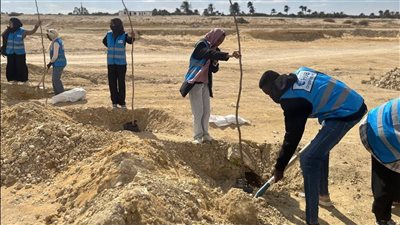 البيئة تشارك فى زراعة الطرق المؤدية لمحميتى قارون ووادى الريان بالفيوم