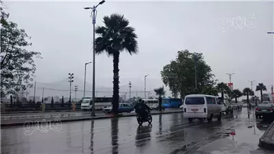اليوم، تعطيل الدراسة بجميع المدارس الحكومية والخاصة بالإسكندرية بعد تحذيرات الأرصاد