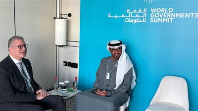 وزير البترول يناقش سبل تأمين إمدادات الغاز الطبيعي من الإمارات