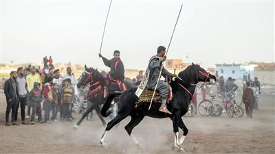 زفة بالخيول في شوارع قنا احتفالًا بمولد عبد الرحيم القنائي (فيديو)