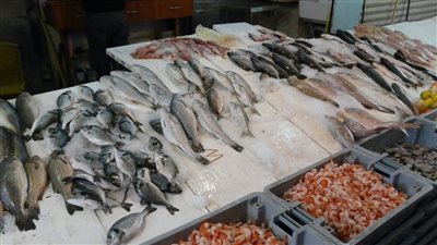  أسعار السمك اليوم بسوق العبور، البلطي يرتفع لـ 71 جنيها وانخفاض البوري والمرجان الوسط