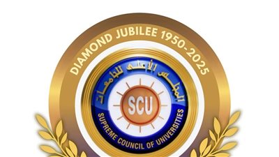 الأعلى للجامعات ينشر كتيب البرامج الدراسية الجديدة بالجامعات الحكومية 2025/ 2026