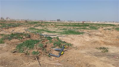 استرداد 713 فدان زراعة و3 آلاف متر مبان في حملة إزالة بمركزين بأسيوط